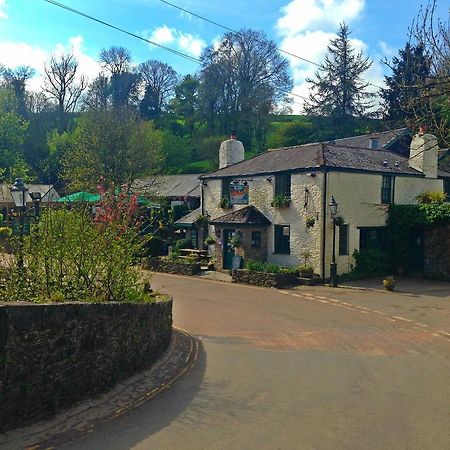 The Waterman'S Arms Bed & Breakfast Totnes Bagian luar foto